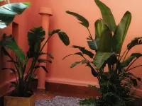 Hotel Can Solé Hotels in Cambrils