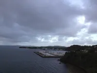 Tropical to go! Apt. 1