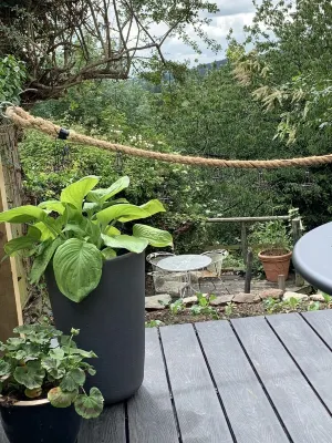 Boutique garden apartment with decking and views Hotels near Ludlow Castle