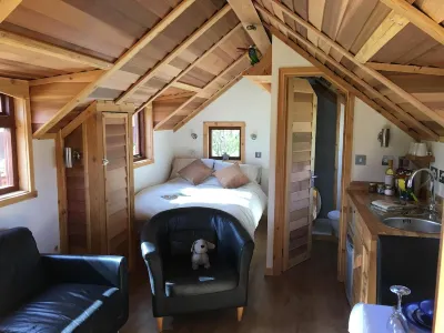 Luxury Cedar Lodge Nr Bath & Bristol Hotels in 