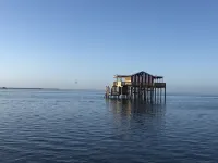Riverfront Plum Crazy Bungalow w/boat dock! 10 min to Gulf, close to beaches! Hotels in der Nähe von Keiser University