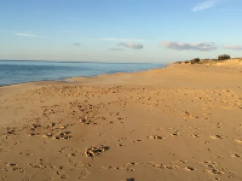 San Gregorio Villa with Secular Olive Grove, Garden, Porch and Private Pool Hotels in Patu