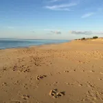 San Gregorio Villa with Secular Olive Grove, Garden, Porch and Private Pool Hotels in Patù