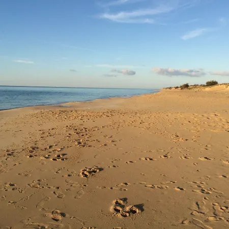 San Gregorio Villa with Secular Olive Grove, Garden, Porch and Private Pool