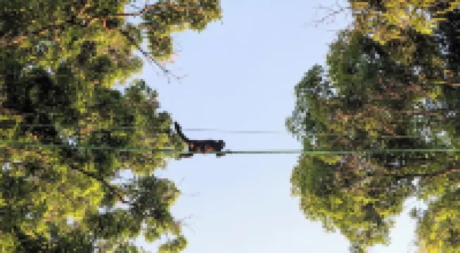 Casa Khoisan - Cozy Romantic Jungle Casita with Ocean Views Near Santa Teresa