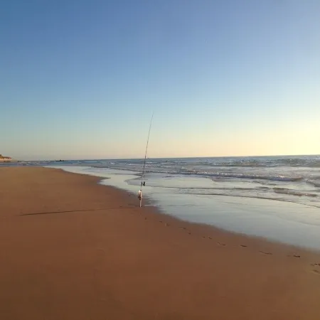 SeahouseNature