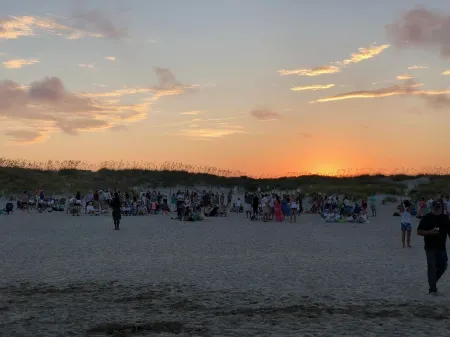 "The Palms" is nestled on a secluded half acre in the forest.  ThePalmsHouse.com