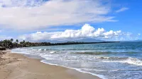 BV103 Amazing Beachfront condo steps from sand