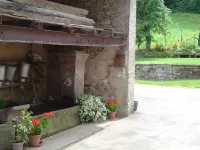 Forest vacations 3 nights minimum Hotels in Le Val-d'Ajol