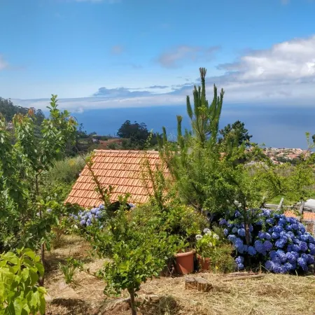 Mountain Cottage - Away from it all!