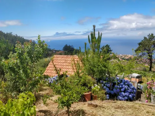 Mountain Cottage - Away from it all!