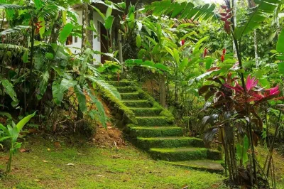 Between the forest and the sea, Casa das Pedras. Hotels near Ilha das Couves, Ubatuba SP
