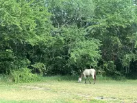 NEW! LABOR DAY SALE - On Beach w/Pool also near Rainforest! Views from terrace!