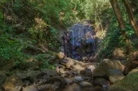 Private suite 102 with beautiful gardens, shared pool and BBQ area! Hotels in Dominical