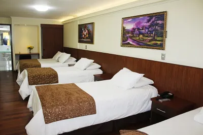 Hotel Newen Hotels in Temuco