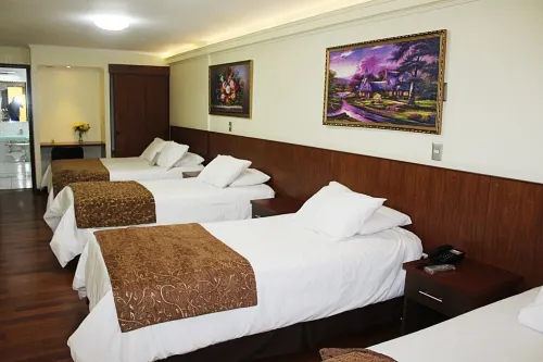 Hotel Newen Hotels in Temuco