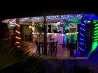 21 Palms - bars