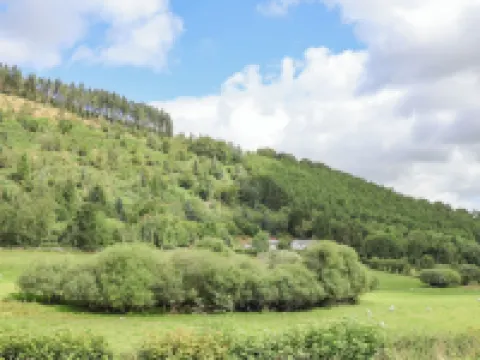 The Little White Cottage Hotels in Mold