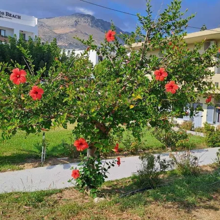 Galini Beach