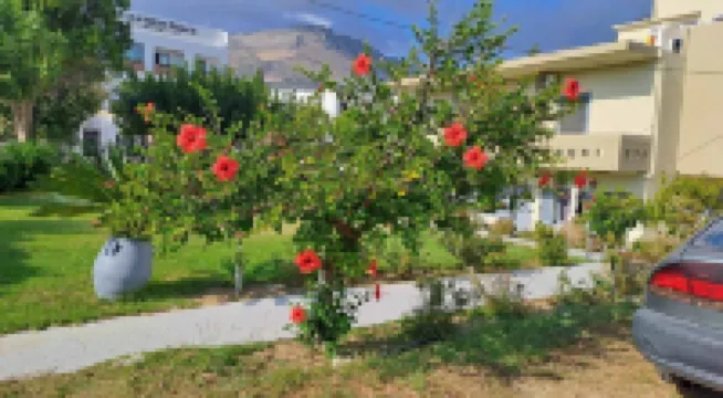 Galini Beach