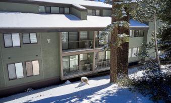 St Anton Condos with Rec Center