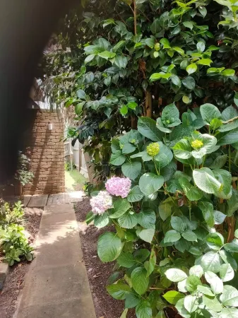 Beach Getaway Ocean Grove 1 bedroom Self Contained Unit Отели в г. Ошен Гров