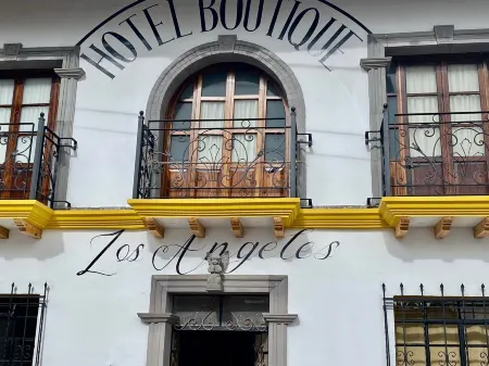 Hotel Boutique Los Angeles Отели в г. Сакатлан