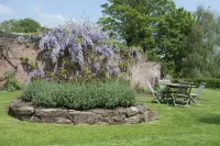 The Bridge House Hotels in Walford