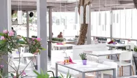 Gaea Gardens Studios & Villas Hotels in Petra