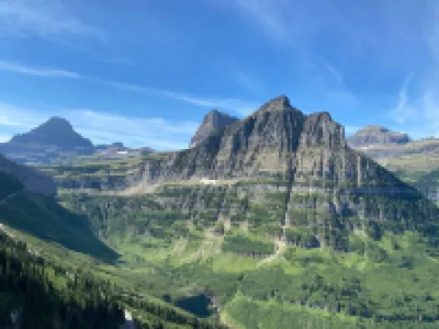 Reclusive Moose Cabins