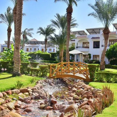 Dive Inn Resort