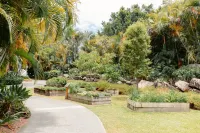 Mercure Gold Coast Resort - Mountain view