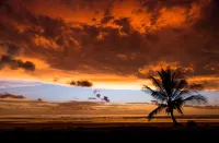 El Castillo Luxury Boutique Hotel- - Ocean View
