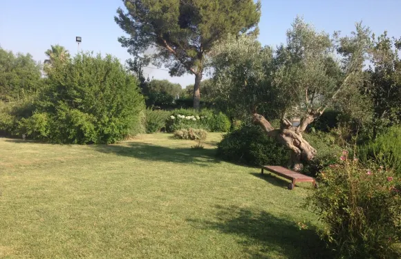 瑪扎拉農場住酒店