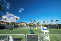 Boutique Condo with Contemporary Art: Steps from Scenic Poipu Beach Trail.