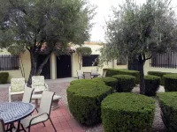 Southwest Serenity in Central Green Valley