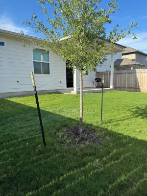 Modern Comfort in Buda – Family & Group Friendly