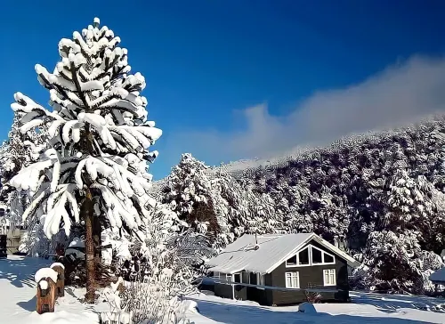 Neltume huilo huilo Chile Hotels in Panguipulli