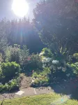 Charming 1-bedroom house surrounded by trees just outside tranquil Waldport