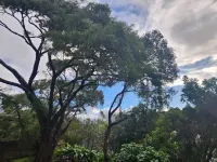 Mt Eden & Kingsland - at the heart of it all Hotel di Mount Eden