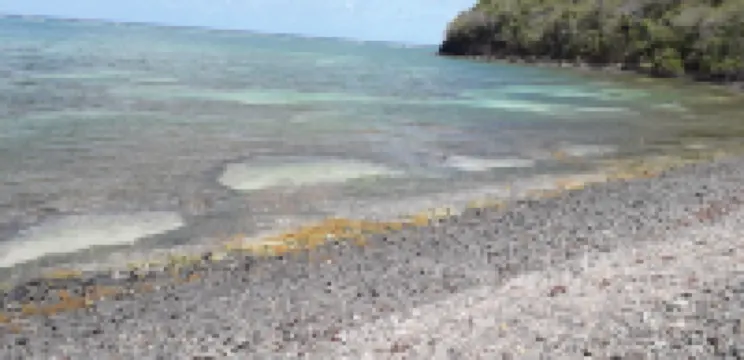 Comfortable and Spacious F3