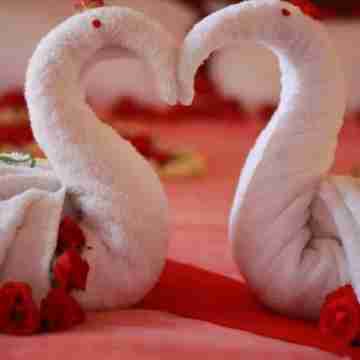 Charming Villa at the Heart of the Wayanad Forest. Rooms