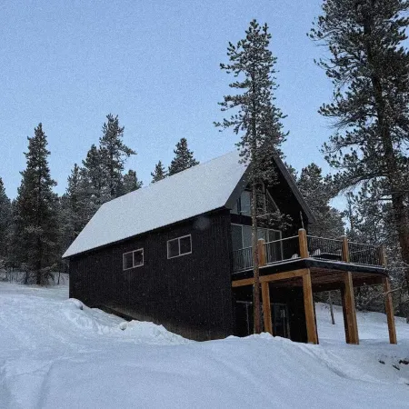 Modern Alpine Cabin in Twin Lakes