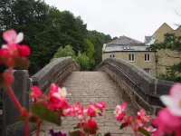 Apartment overlooking the river in the heart of Hebden Bridge - Pet friendly! Hotels in Hebden Bridge