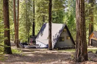Decks, Grills and Fire Pit Camp Connell Hideaway! - spa