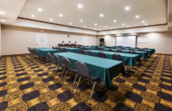 Holiday Inn Express & Suites KILGORE NORTH by IHG