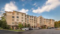 Staybridge Suites 查爾斯頓，阿什利磷酸鹽 - 廚房