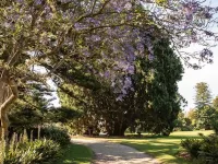 Charming 3-Bedroom Holiday Home Near Werribee Park Hotels in Werribee