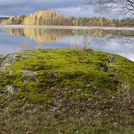 Kopinkallio 3