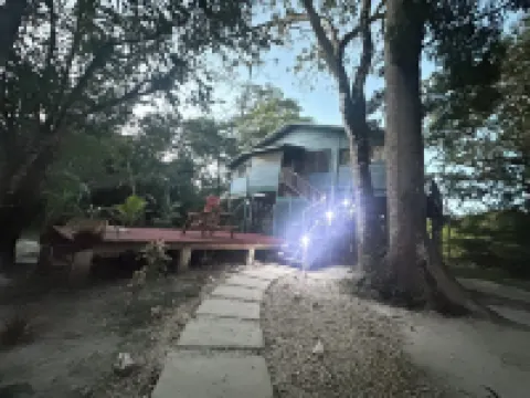 Howler Jungle House  호텔